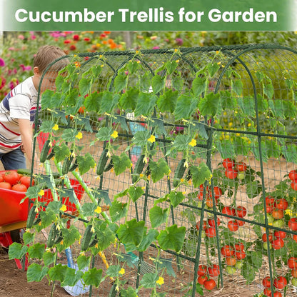 Cucumber Trellis, Metal Garden Arch Trellis for Raised Bed, 48 x 48inch U-Shape Garden Trellis for Climbing Plants Outdoor, Vegetables Fruit Plant Support with Netting, Gardening Supplies (Green)