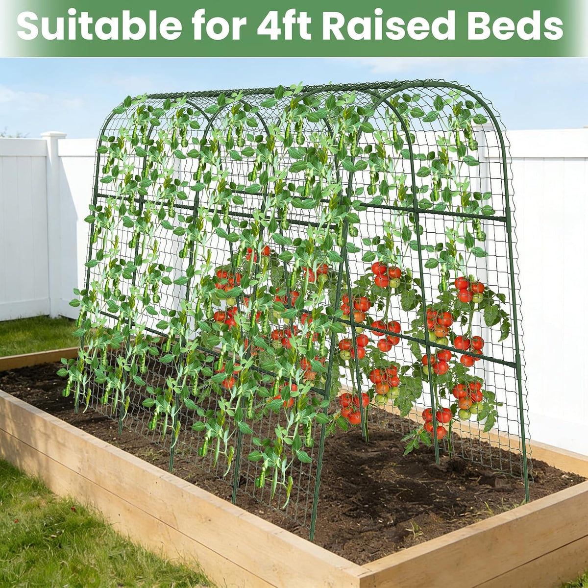 Cucumber Trellis, Metal Garden Arch Trellis for Raised Bed, 48 x 48inch U-Shape Garden Trellis for Climbing Plants Outdoor, Vegetables Fruit Plant Support with Netting, Gardening Supplies (Green)