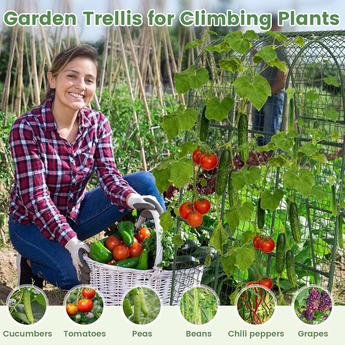 Cucumber Trellis, Metal Garden Arch Trellis for Raised Bed, 48 x 48inch U-Shape Garden Trellis for Climbing Plants Outdoor, Vegetables Fruit Plant Support with Netting, Gardening Supplies (Green)