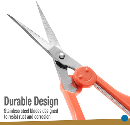 High Precision Detail Scissors Set (2-Pc) Sharp, Fine Tips | Paper Cutting, Scrapbooking, Sewing, Crafting | Stainless Steel | Protective Cover (Pastel)