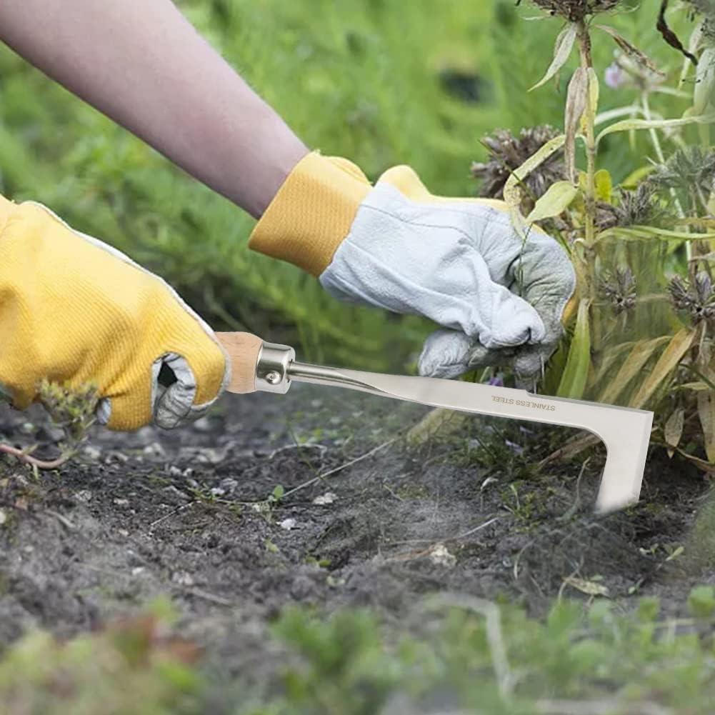 Crack Weeder 12" Stainless Steel Crevice Weeding Tool
