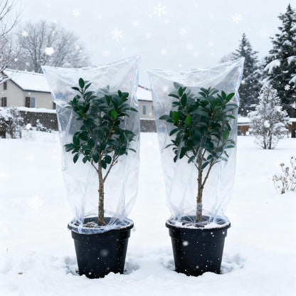 10 Pcs Winter Plant Covers Freeze Protection, Thickened PE Clear Film Cover, Waterproof Plant Shelter Bag for Outdoor Potted Plants Trees Shrub Rain Frost Protection（27.5×43.3 Inch）