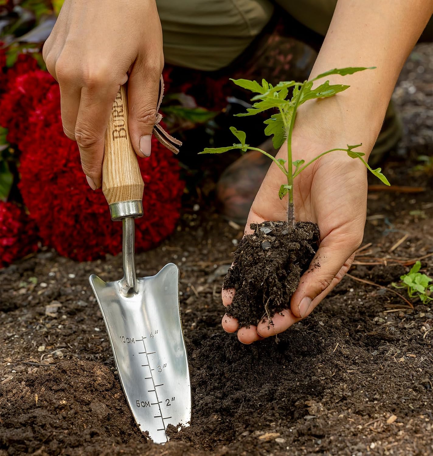 15" Stainless Steel Soil Scoop | Durable Long Lasting Garden Tool | Leather Wrist Strap 5" Handle, Oak