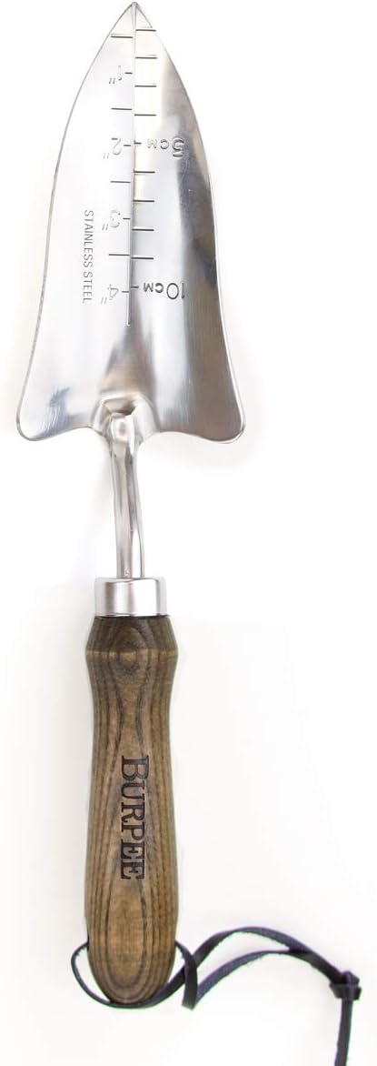 15" Stainless Steel Soil Scoop | Durable Long Lasting Garden Tool | Leather Wrist Strap 5" Handle, Oak