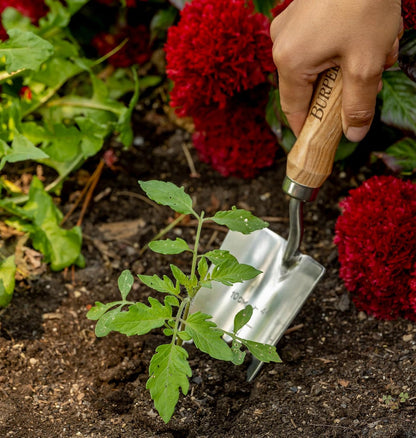 15" Stainless Steel Soil Scoop | Durable Long Lasting Garden Tool | Leather Wrist Strap 5" Handle, Oak