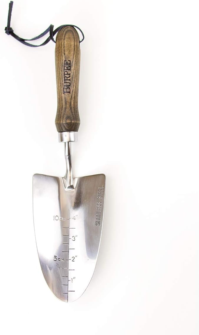 15" Stainless Steel Soil Scoop | Durable Long Lasting Garden Tool | Leather Wrist Strap 5" Handle, Oak