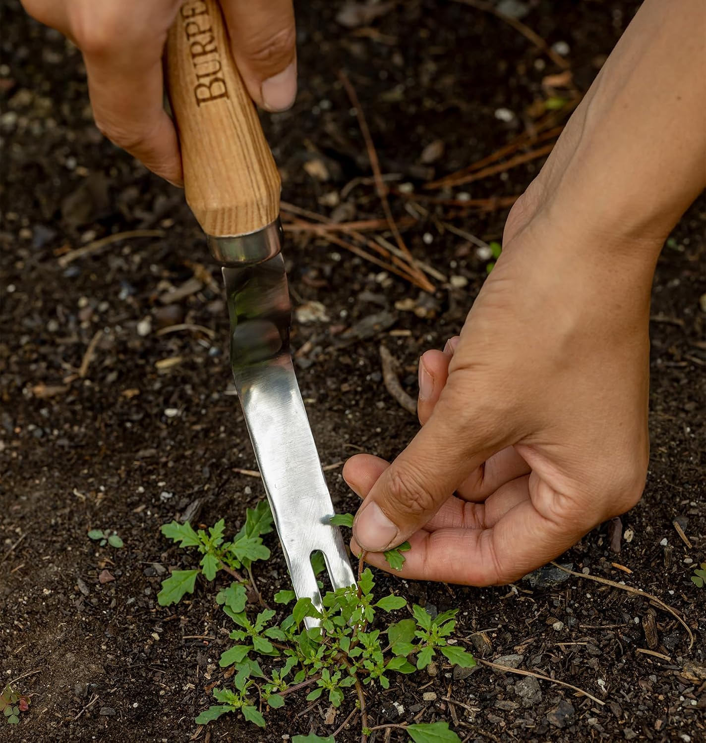 15" Stainless Steel Soil Scoop | Durable Long Lasting Garden Tool | Leather Wrist Strap 5" Handle, Oak