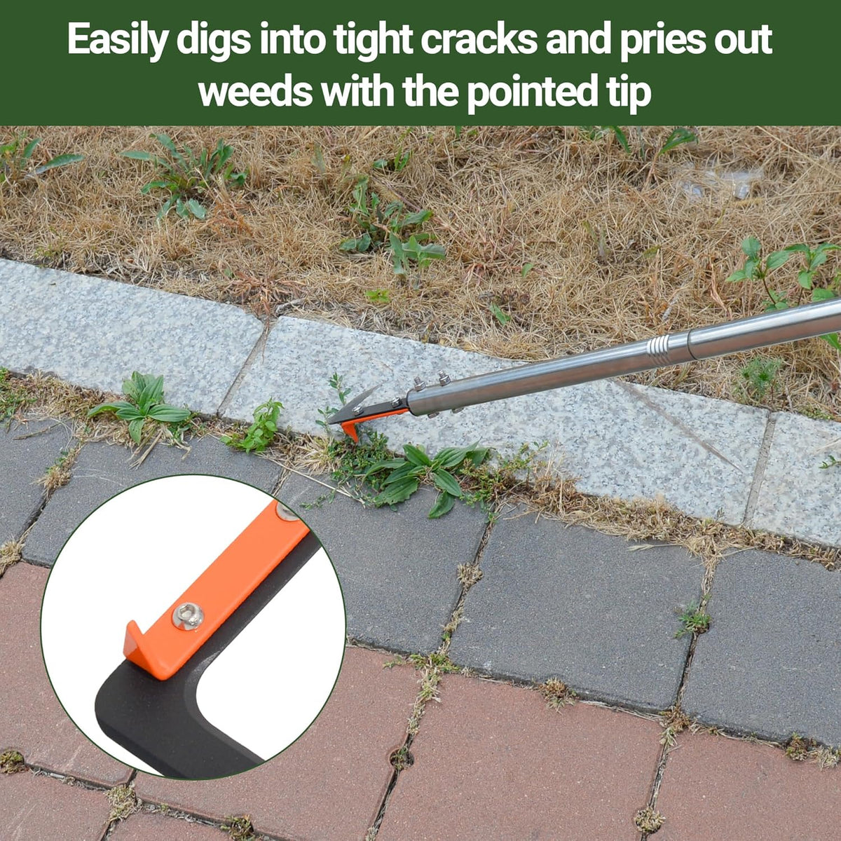 58in Crack Weeder with Spring Steel L-Shaped Blade