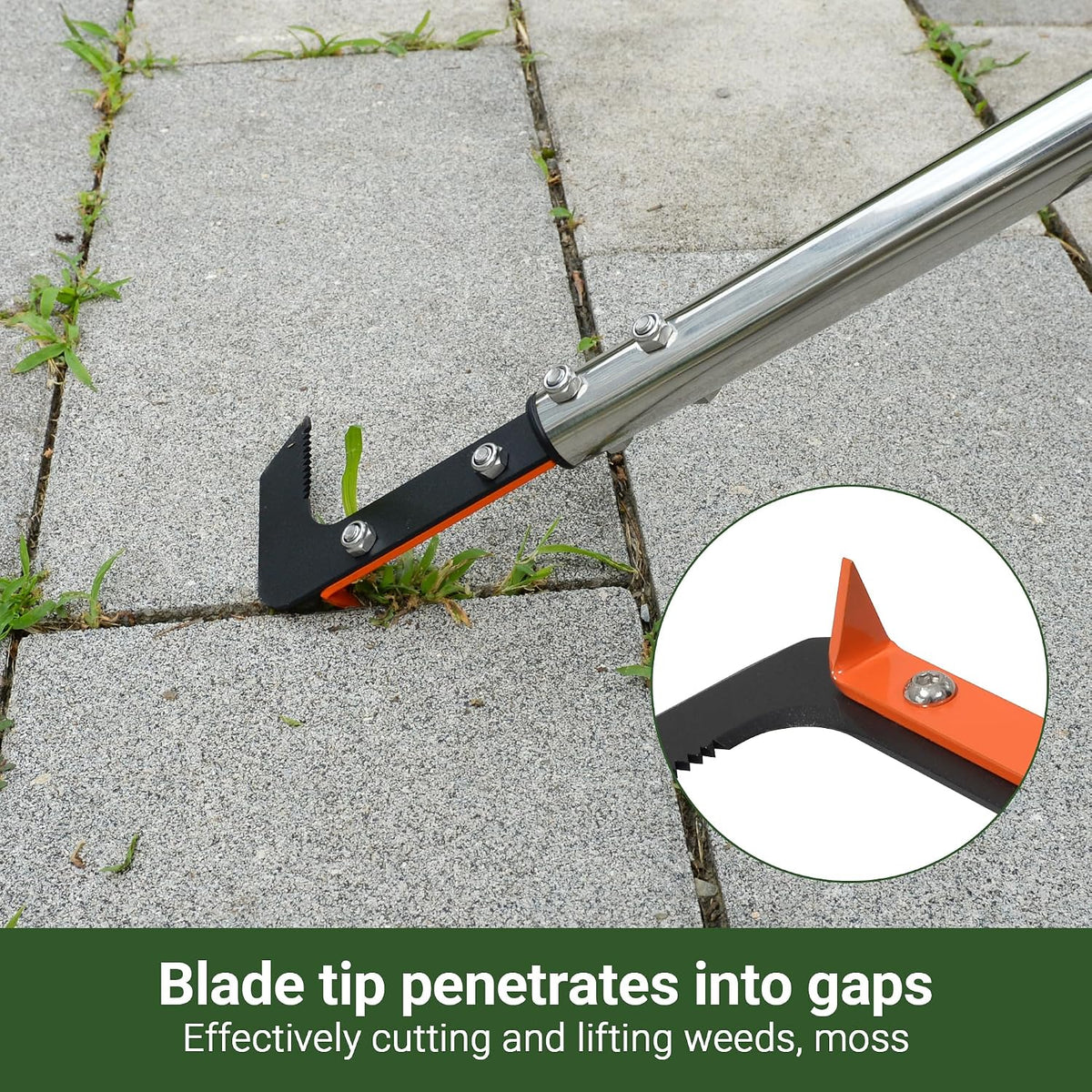 58in Crack Weeder with Spring Steel L-Shaped Blade