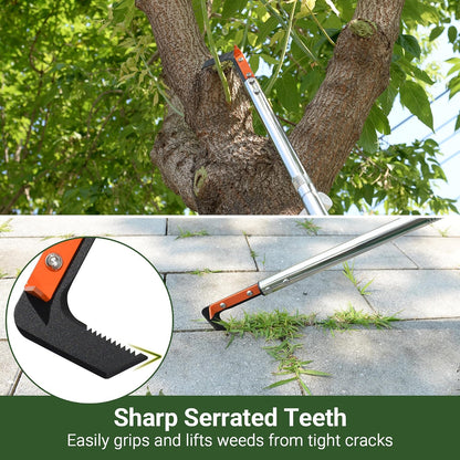 58in Crack Weeder with Spring Steel L-Shaped Blade