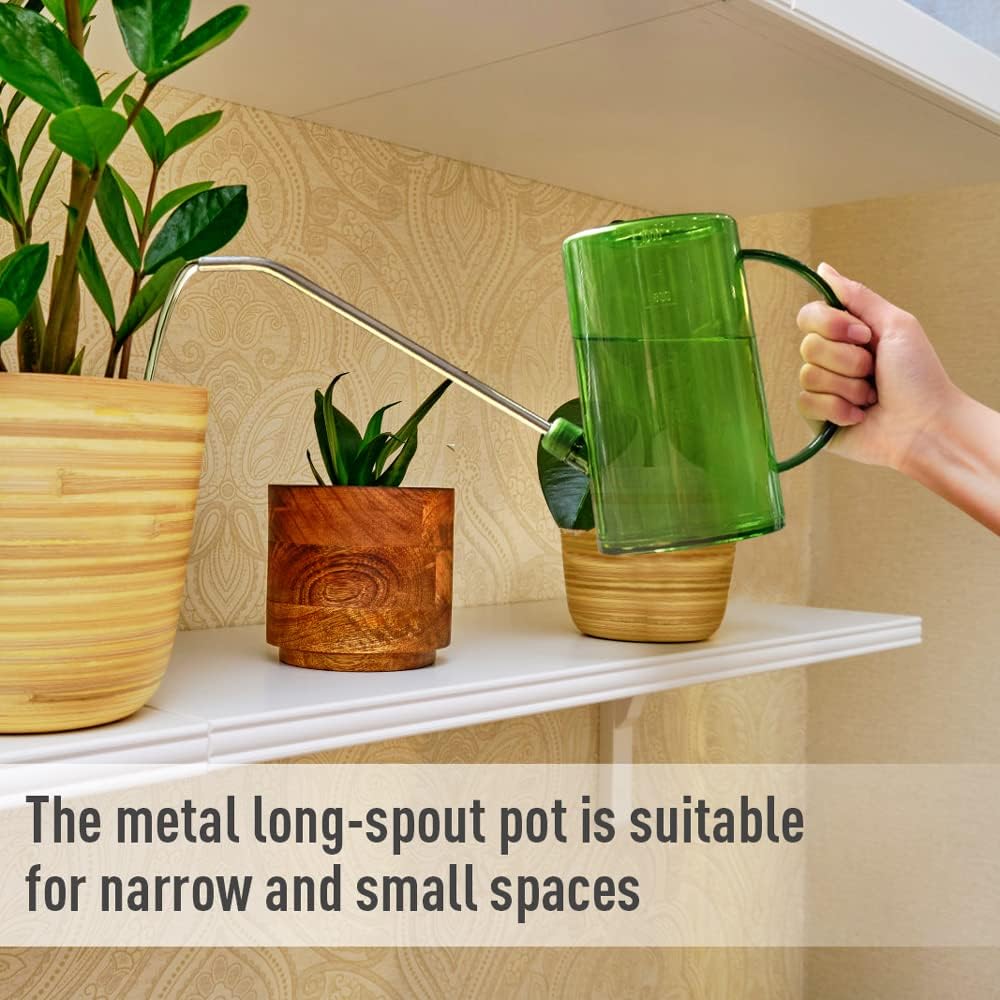 1L Long Spout Garden Watering Can with Precision Indoor Plant Watering Device