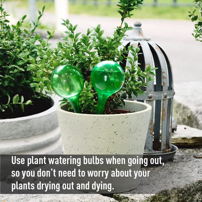 1L Long Spout Garden Watering Can with Precision Indoor Plant Watering Device