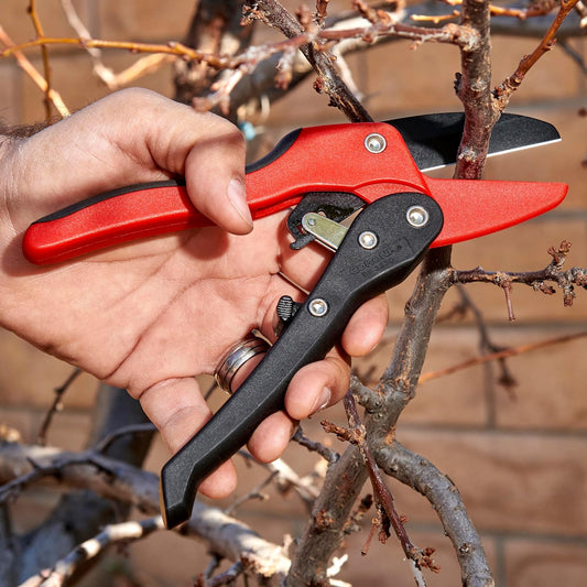 Ratchet Hand Pruner – 3/4-Inch Cut Capacity Garden Pruning Shears for Stems & Branches, Heavy-Duty Ratcheting Hand Pruners with Comfortable Grip