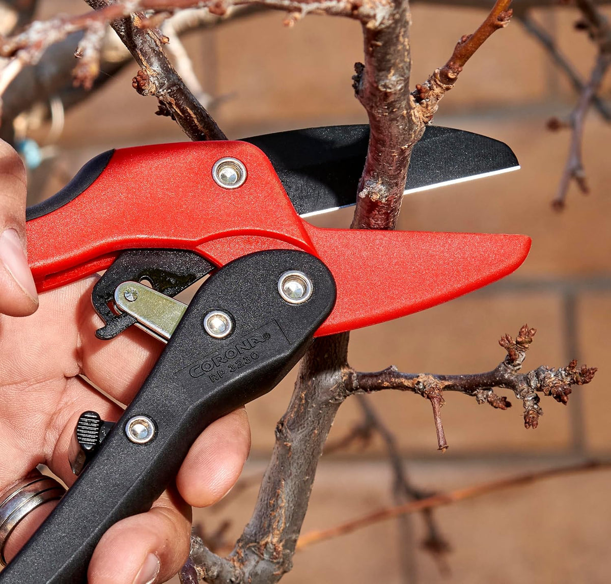 Ratchet Hand Pruner – 3/4-Inch Cut Capacity Garden Pruning Shears for Stems & Branches, Heavy-Duty Ratcheting Hand Pruners with Comfortable Grip