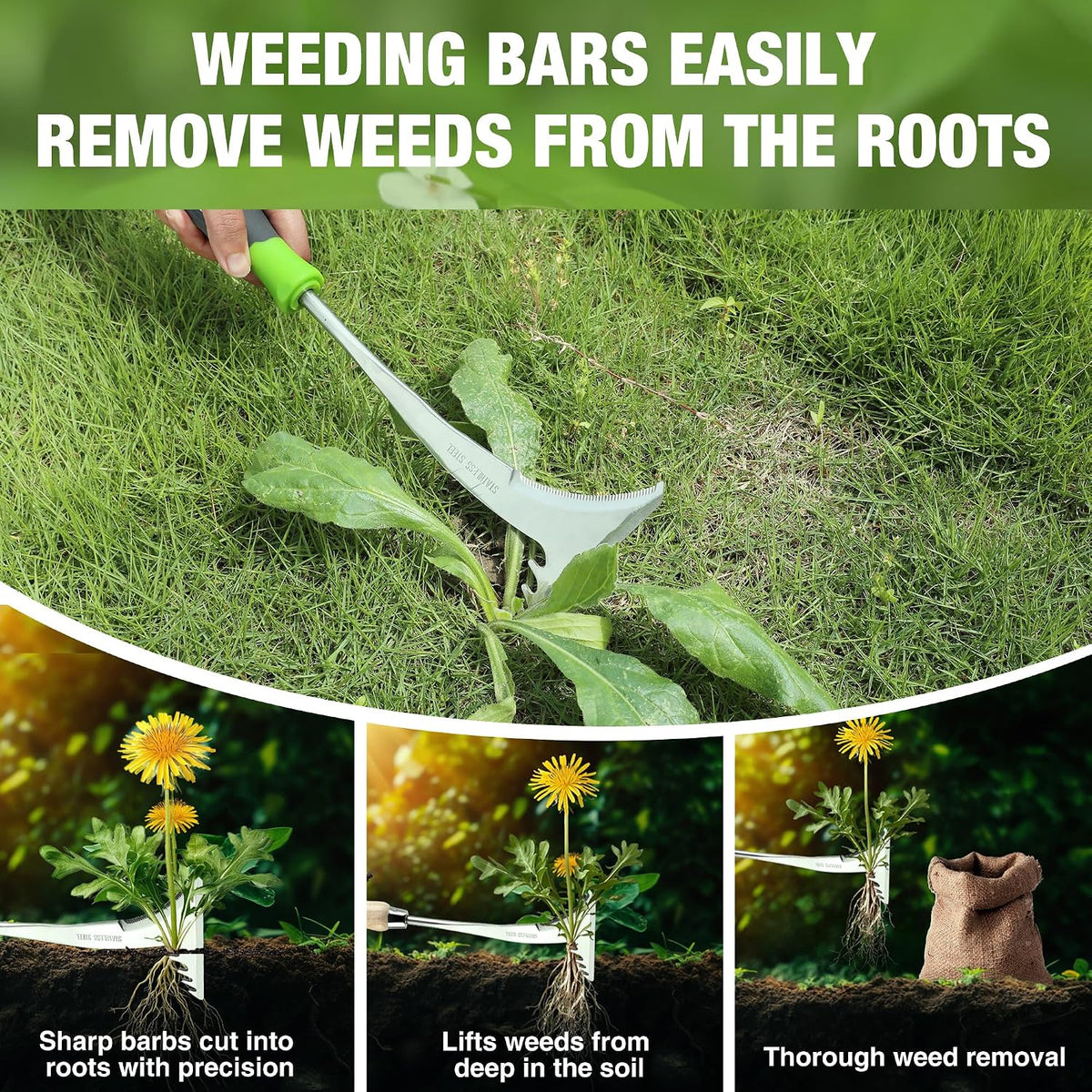 Crack Weeder, 12.5" Stainless Steel Crevice Weeding Tool