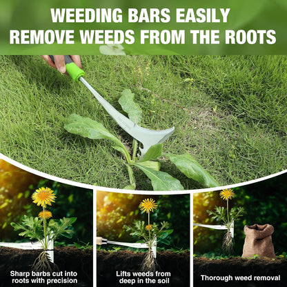 Crack Weeder, 12.5" Stainless Steel Crevice Weeding Tool