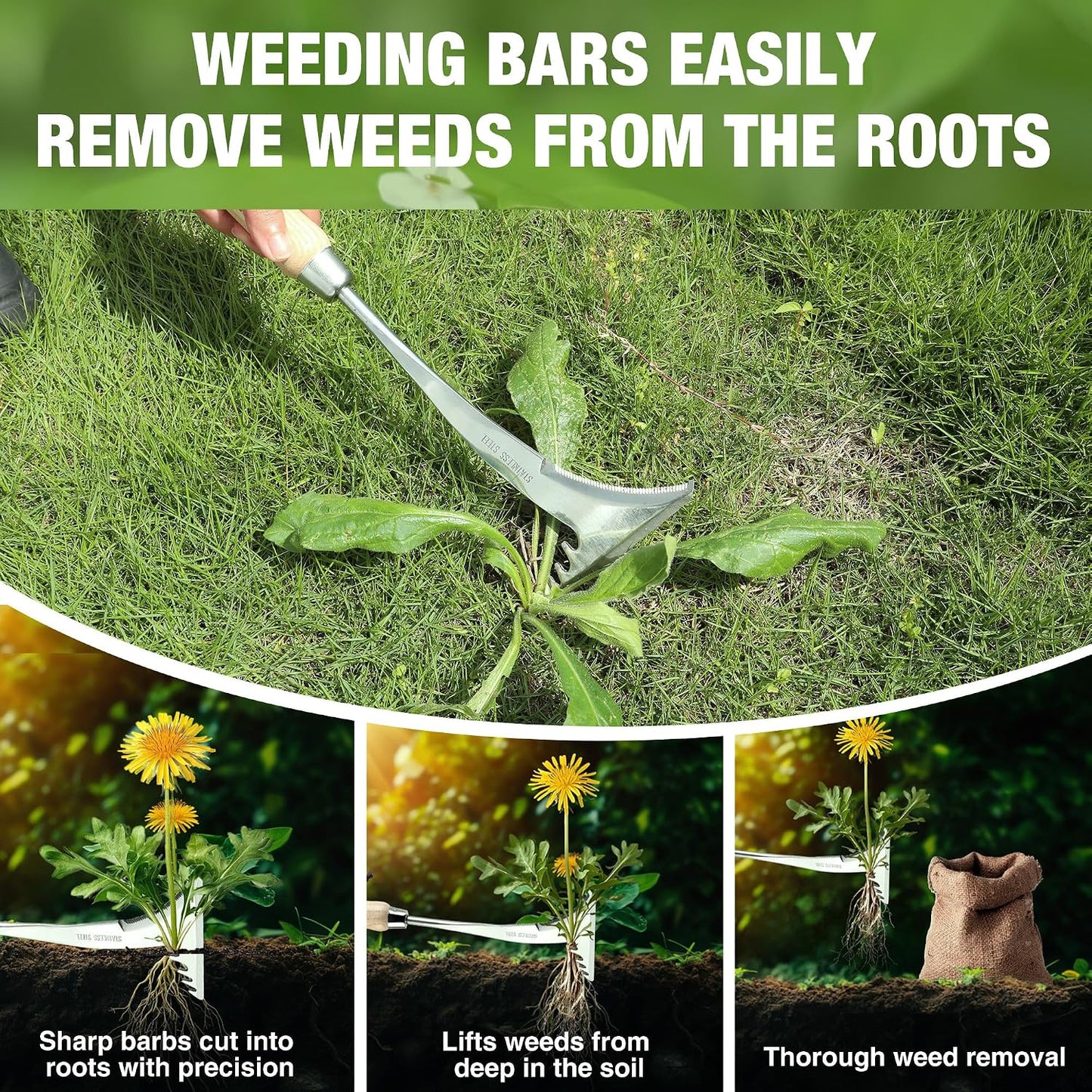 Crack Weeder, 12.5" Stainless Steel Crevice Weeding Tool