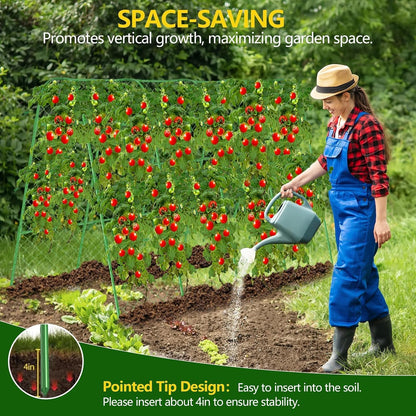 63" Tall Cucumber Trellis for Raised Garden Bed U-Frame Arch Tunnel Trellis Metal Tomato Cage Plant Support Stand for Peas,Bean,Grapes,Flowers,Vines Climbing Plants Outdoor
