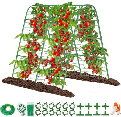 63" Tall Cucumber Trellis for Raised Garden Bed U-Frame Arch Tunnel Trellis Metal Tomato Cage Plant Support Stand for Peas,Bean,Grapes,Flowers,Vines Climbing Plants Outdoor