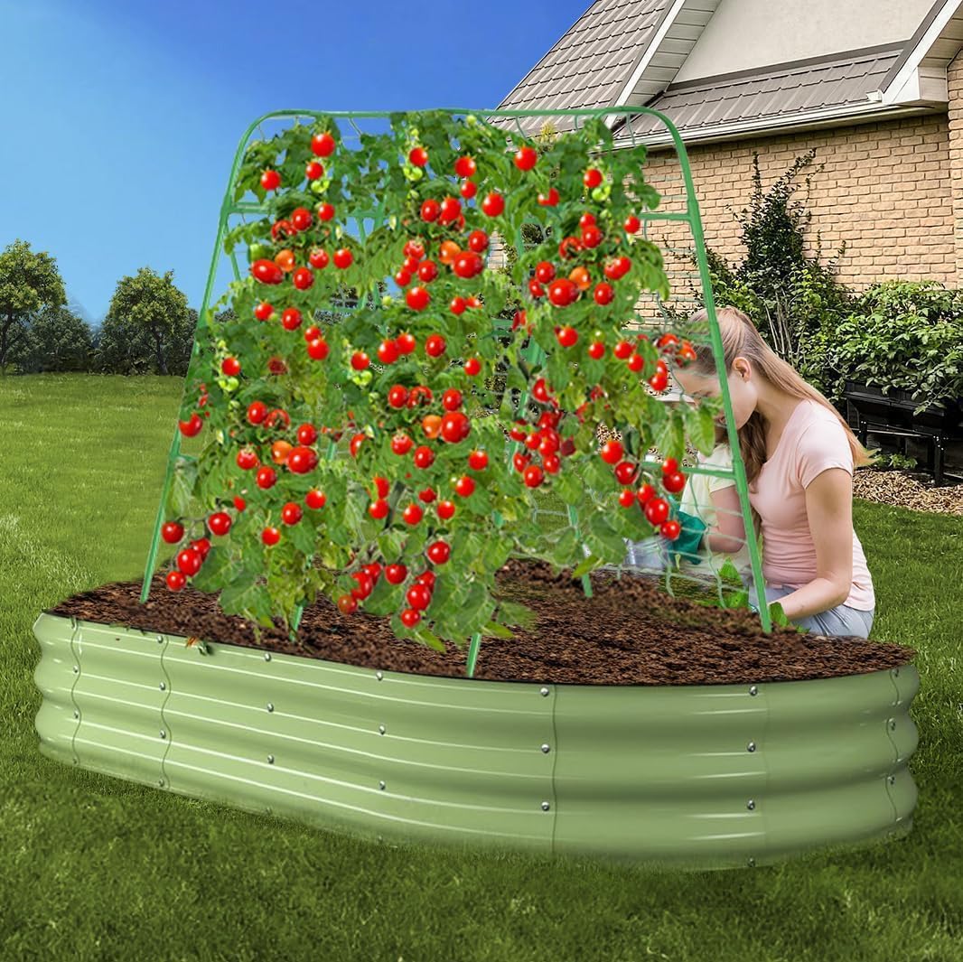 63" Tall Cucumber Trellis for Raised Garden Bed U-Frame Arch Tunnel Trellis Metal Tomato Cage Plant Support Stand for Peas,Bean,Grapes,Flowers,Vines Climbing Plants Outdoor