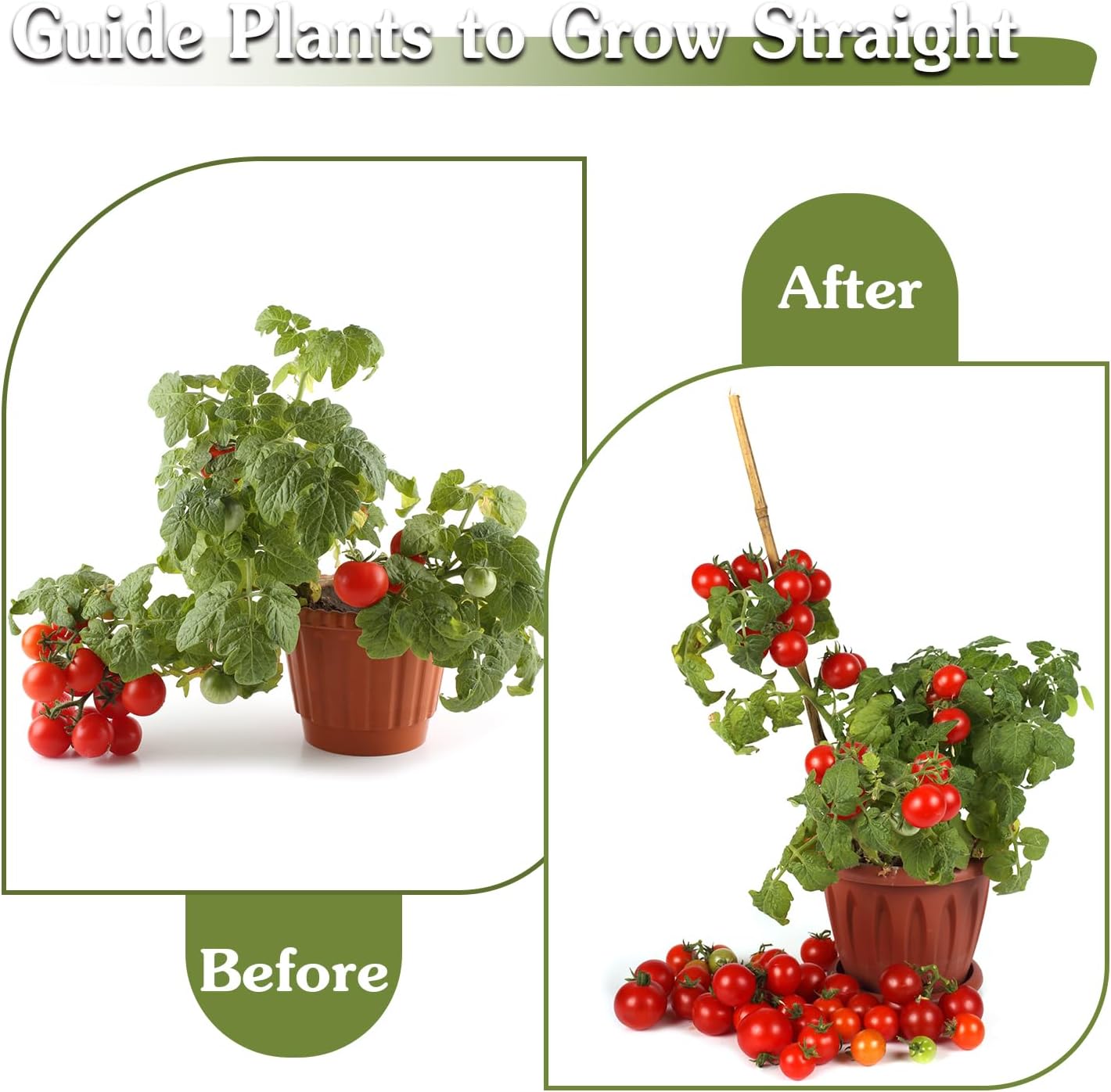 Plant Stakes 4FT, Natural Bamboo Stakes, 25Pcs Sturdy Bamboos Garden Stakes