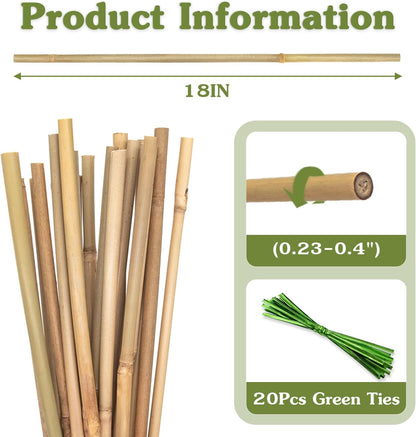 Plant Stakes 4FT, Natural Bamboo Stakes, 25Pcs Sturdy Bamboos Garden Stakes