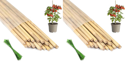 Plant Stakes 4FT, Natural Bamboo Stakes, 25Pcs Sturdy Bamboos Garden Stakes