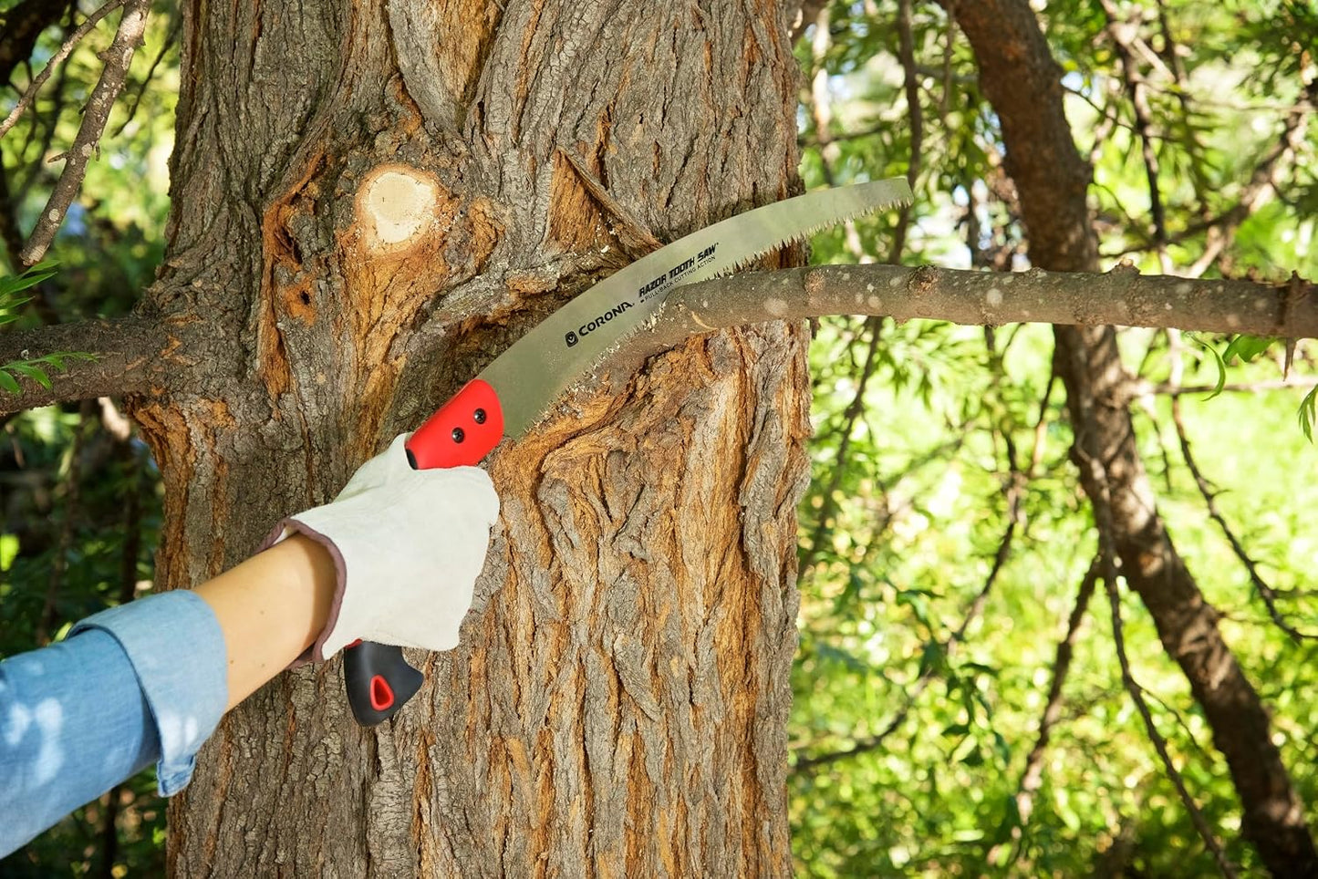 14-Inch RazorTOOTH Pruning Saw | Tree Saw Designed for Single-Hand Use | Curved Blade Hand Saw | Cuts Branches Up to 8" in Diameter | RS 7395, Red/Black
