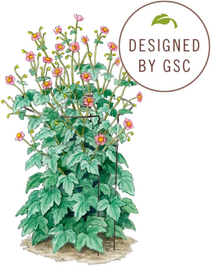 Jardin Half Round Plant Supports -18" x 35"