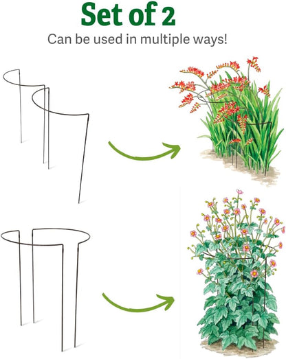Jardin Half Round Plant Supports -18" x 35"