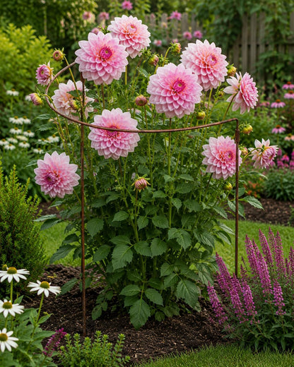 Jardin Half Round Plant Supports -18" x 35"