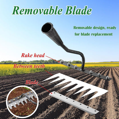 Weed Puller Tool - Upgrade Iron Weeding Rake, 2026 New Iron Rake for Gardening and Weeding, 8 Teeth Manual Weeder Remover Too, Detachable Garden Weeder Tool for Dethatching Lawn Loosening