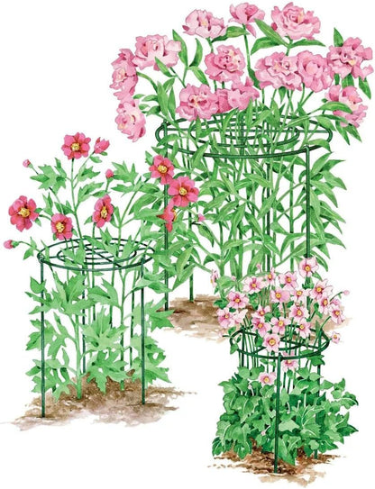 Grow Through Plant Support | Sturdy Metal Support Frame for Peonies, Roses Flower Garden Cage | Wide Top Rings Bouquet Shape |18" D X 24" H (Set of 3)