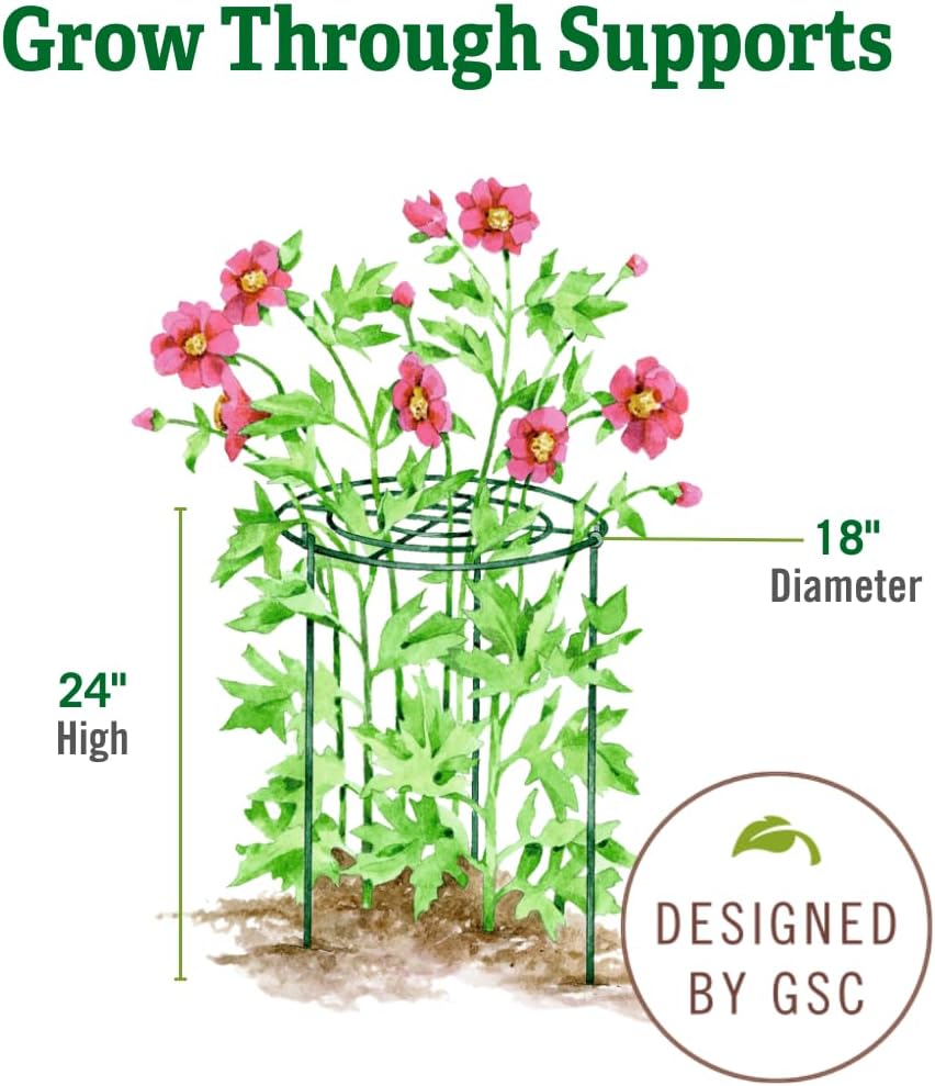 Grow Through Plant Support | Sturdy Metal Support Frame for Peonies, Roses Flower Garden Cage | Wide Top Rings Bouquet Shape |18" D X 24" H (Set of 3)