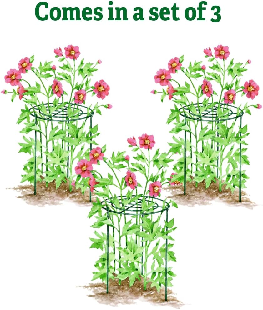 Grow Through Plant Support | Sturdy Metal Support Frame for Peonies, Roses Flower Garden Cage | Wide Top Rings Bouquet Shape |18" D X 24" H (Set of 3)