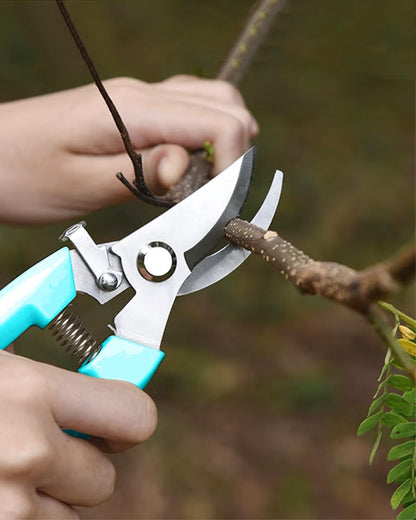 Garden Scissor for Plant, Floral Scissors, Tip Pruning Shears Bulk for Cutting Flowers, Bonsai, Fruits and Trimming Plants (Blue, 4 Pack)