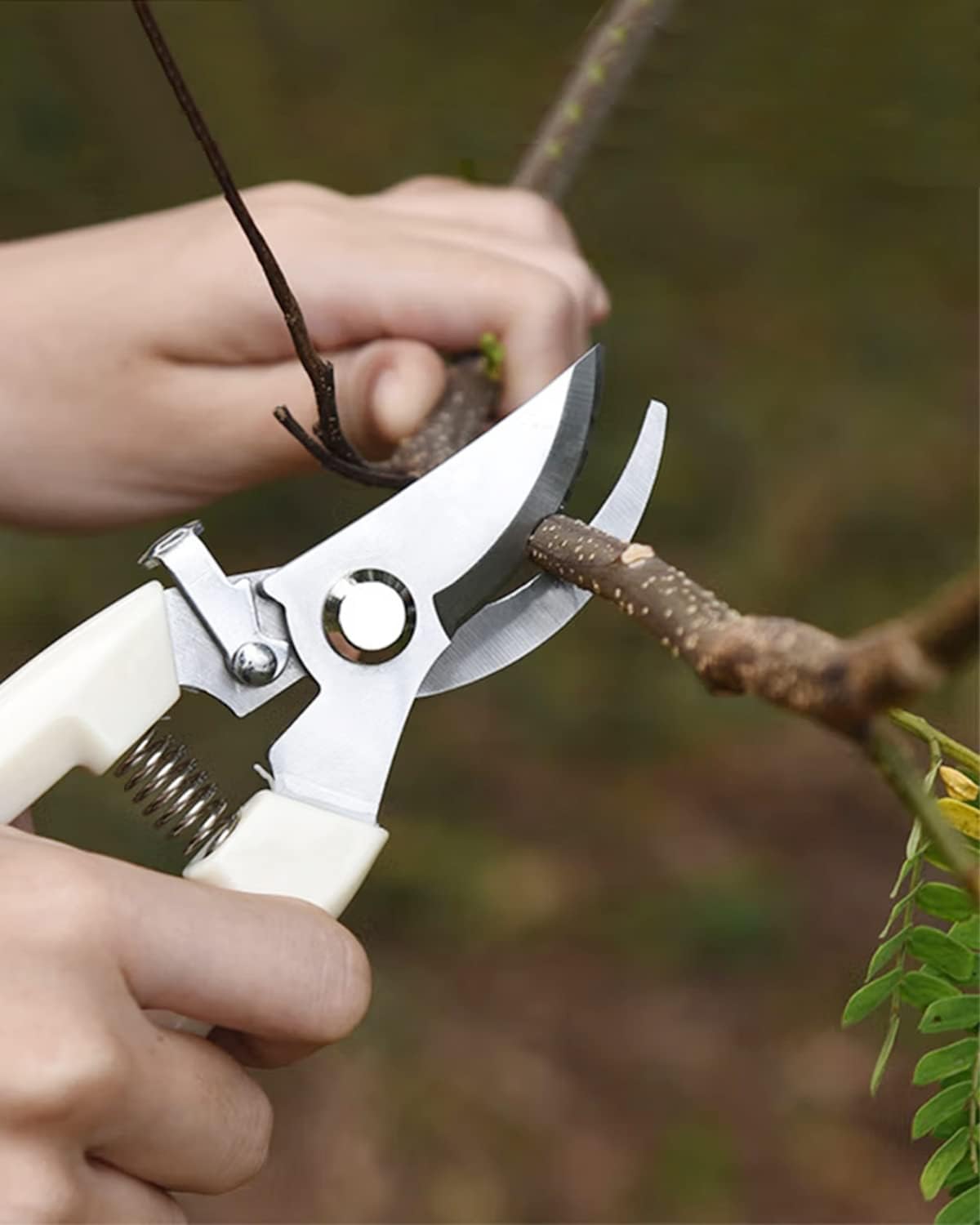 Garden Scissor for Plant, Floral Scissors, Tip Pruning Shears Bulk for Cutting Flowers, Bonsai, Fruits and Trimming Plants (Blue, 4 Pack)