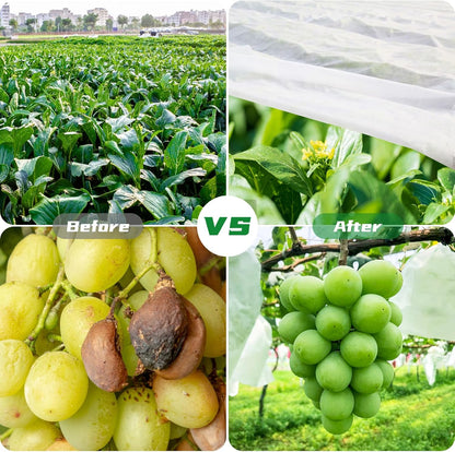 Plant Covers Bird Insect Protection,10FT x 16FT Greenhouse Cover and Garden Netting for Plants, Vegetables,Fleece Floating Row Cover for Cold Winter Weather,Garden Frost Sun Pest Protection