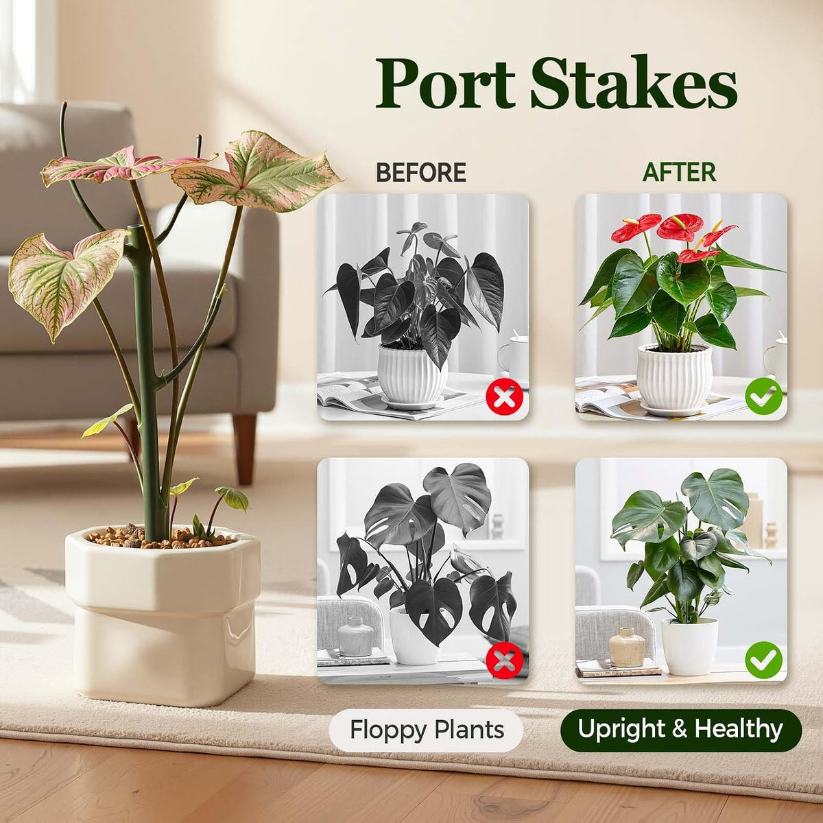 10 Packs Stackable Monstera Plant Support Stakes for Small Potted Plants