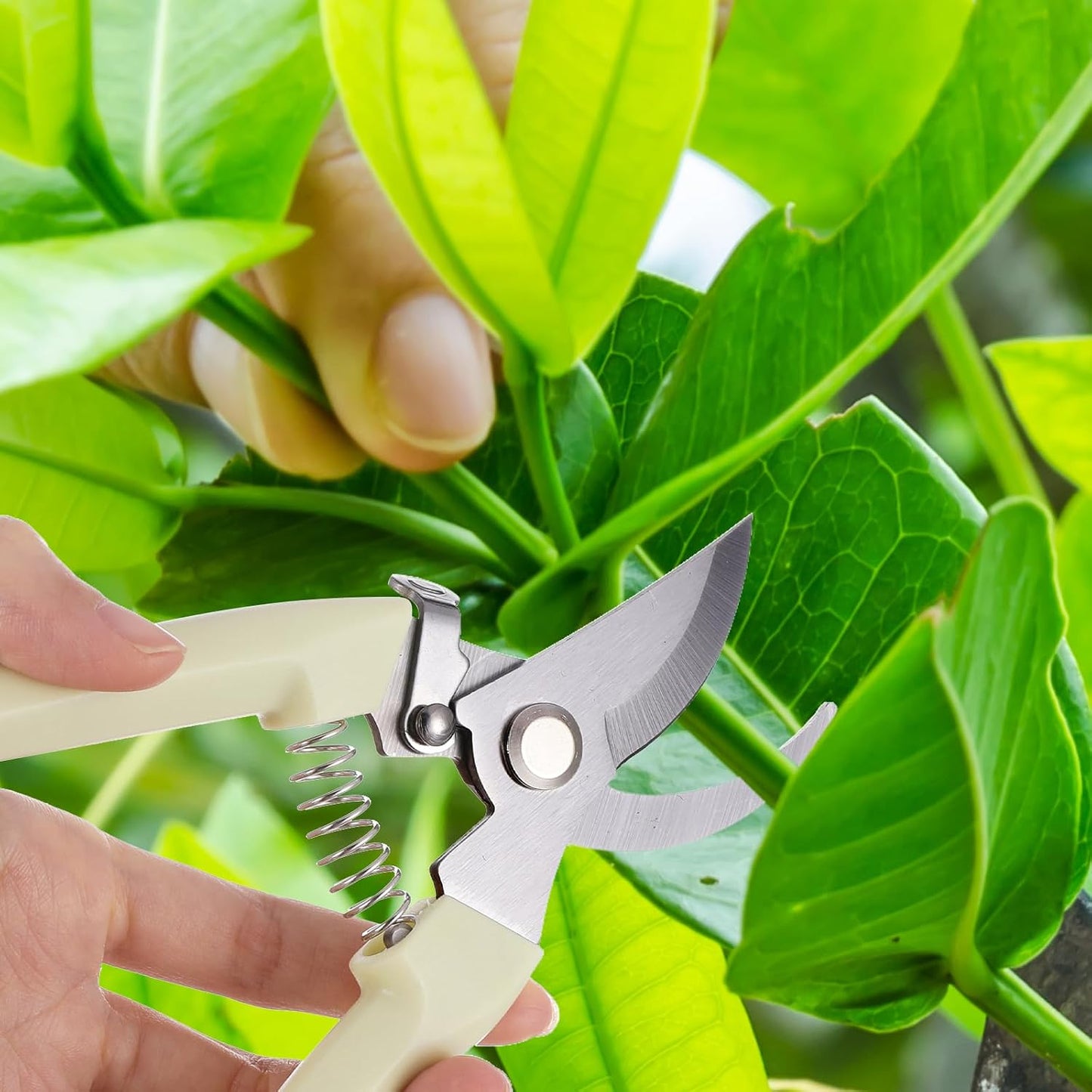 12 Pcs Garden Shears Flower Scissors Pruning Shears Floral Garden Clippers Hand Pruners Branch Cutter Gardening Tools for Plants Cutting, Trimming, Fruits Picking(Bypass, Straight)