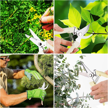 12 Pcs Garden Shears Flower Scissors Pruning Shears Floral Garden Clippers Hand Pruners Branch Cutter Gardening Tools for Plants Cutting, Trimming, Fruits Picking(Bypass, Straight)