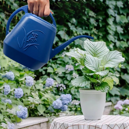 Plant Watering Can - 1/2 Gallon - White Color