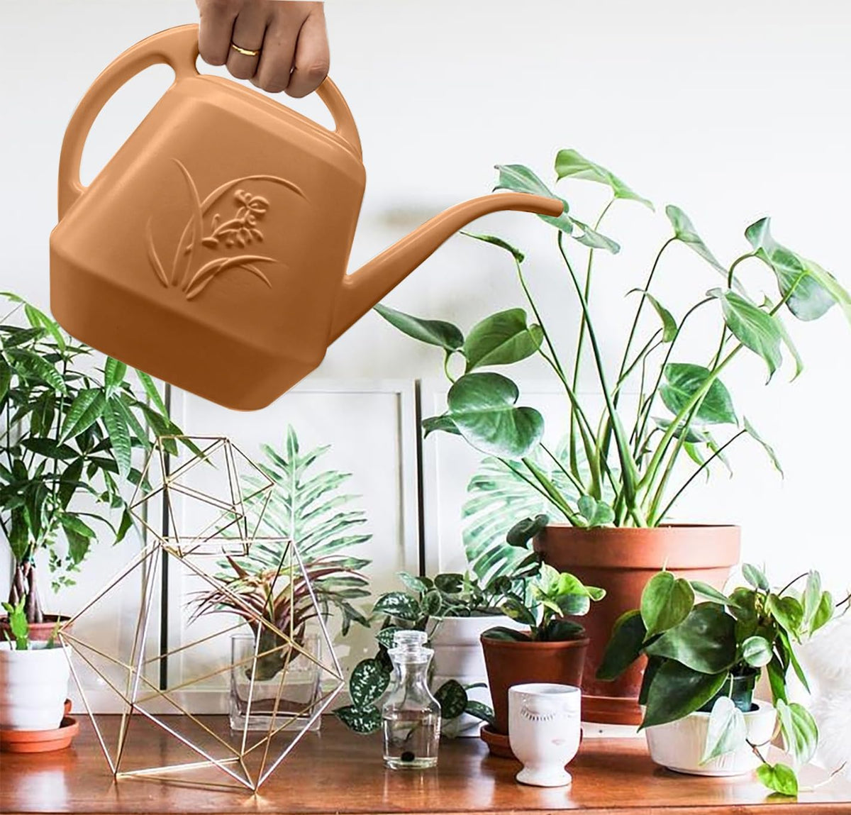 Plant Watering Can - 1/2 Gallon - White Color