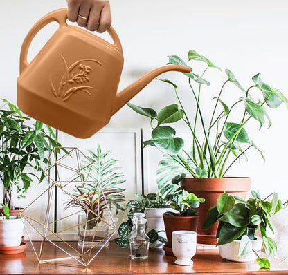 Plant Watering Can - 1/2 Gallon - White Color