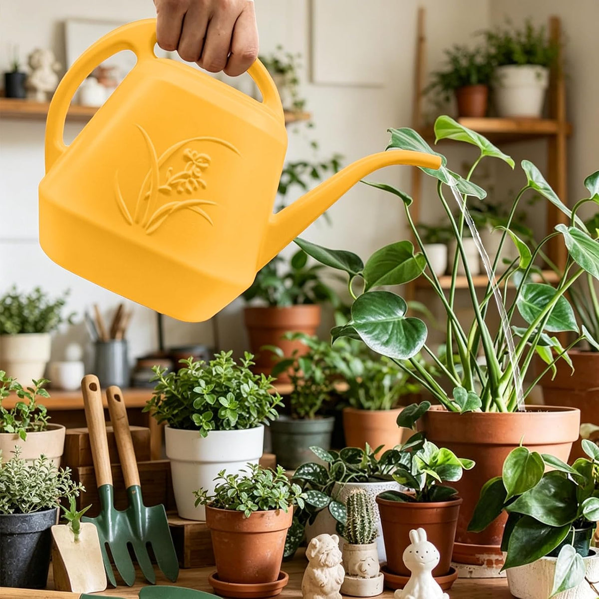 Plant Watering Can - 1/2 Gallon - White Color
