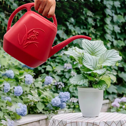 Plant Watering Can - 1/2 Gallon - White Color