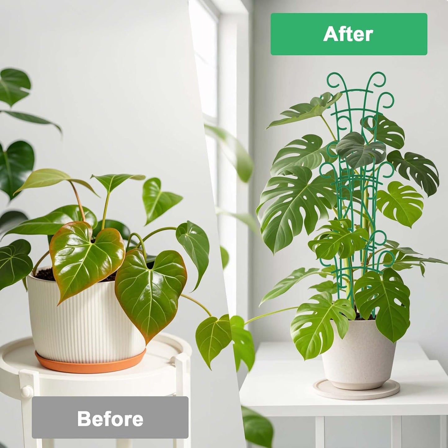 Plant Trellis for Potted Plants 12 Pack Stackable Indoor Outdoor Climbing Houseplant Support with Garden Wire for Pothos Hoya Ivy Flower