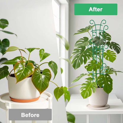 Plant Trellis for Potted Plants 12 Pack Stackable Indoor Outdoor Climbing Houseplant Support with Garden Wire for Pothos Hoya Ivy Flower