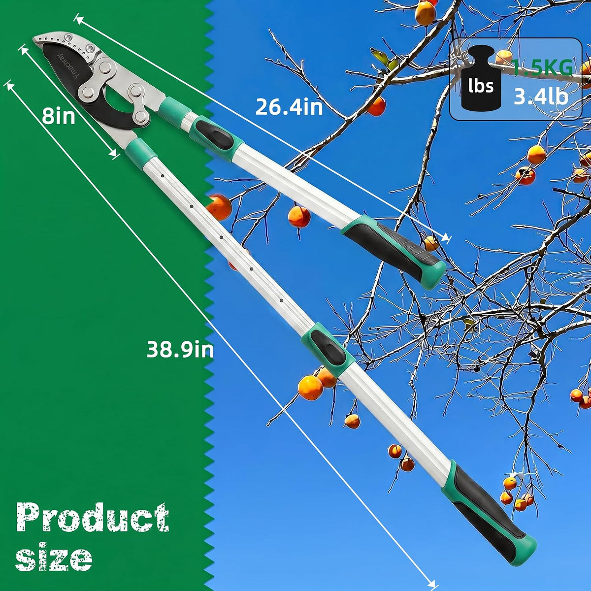Heavy Duty Anvil Lopping Shears -2 inch Cutting Capacity Bypass Lopper - Extendable 26 Inch to 41 Inch,Professional Tree Branch Cutter