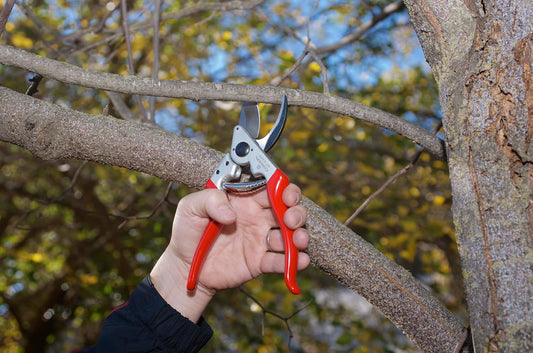 Aluminum Angled Bypass Pruner, 1 in. Cut Capacity
